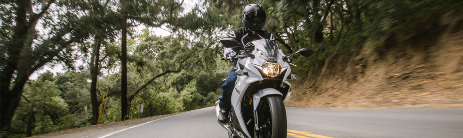 2019 Suzuki Suzuki GSX250R 2 for sale in Freshwater Motorplex, St. John's, Newfoundland and Labrador